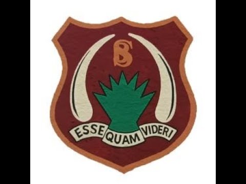 Organizer Logo