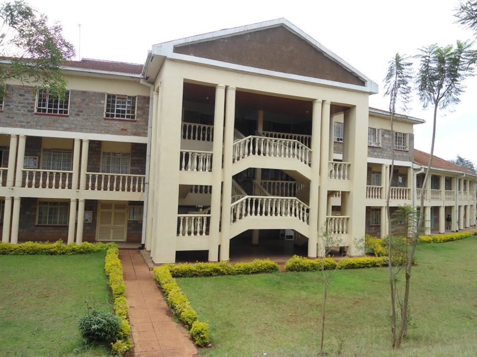 Alliance High School Cover